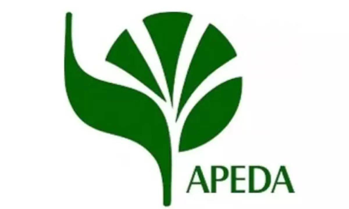 APEDA / Spices Board / Tea Board / FIEO 1