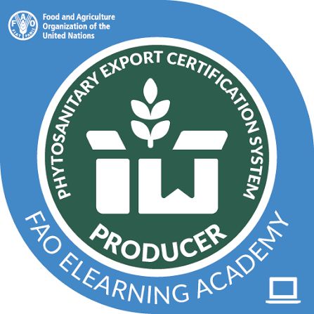 PhytoSanitary Certificate 1